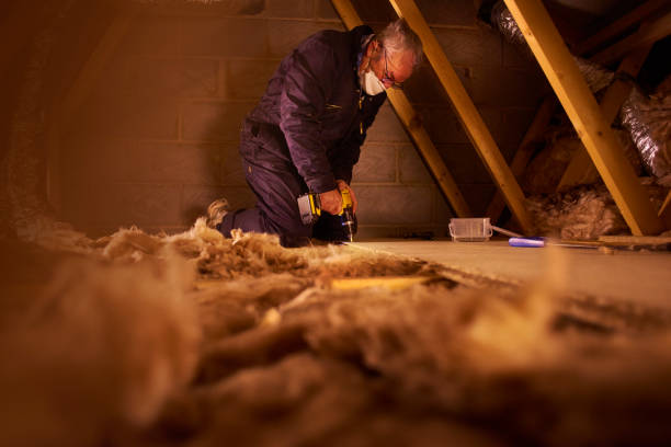 Best Spray Foam Insulation  in Stowell, TX